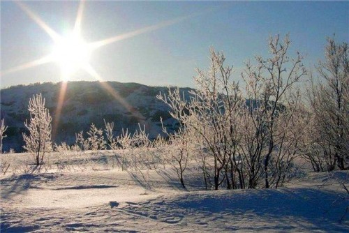 Зимний пейзаж