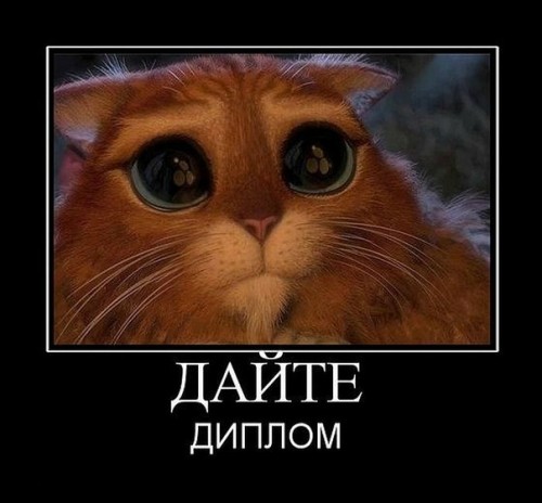 Демотиватор Дайте диплом