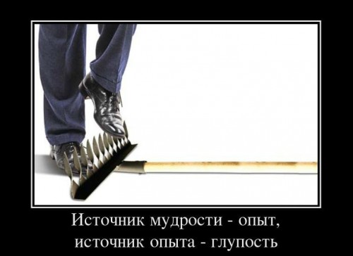Афоризм о глупости