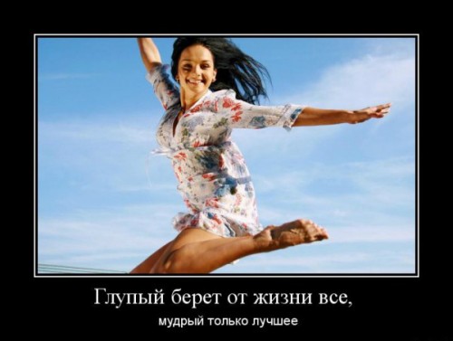 Афоризм о глупости