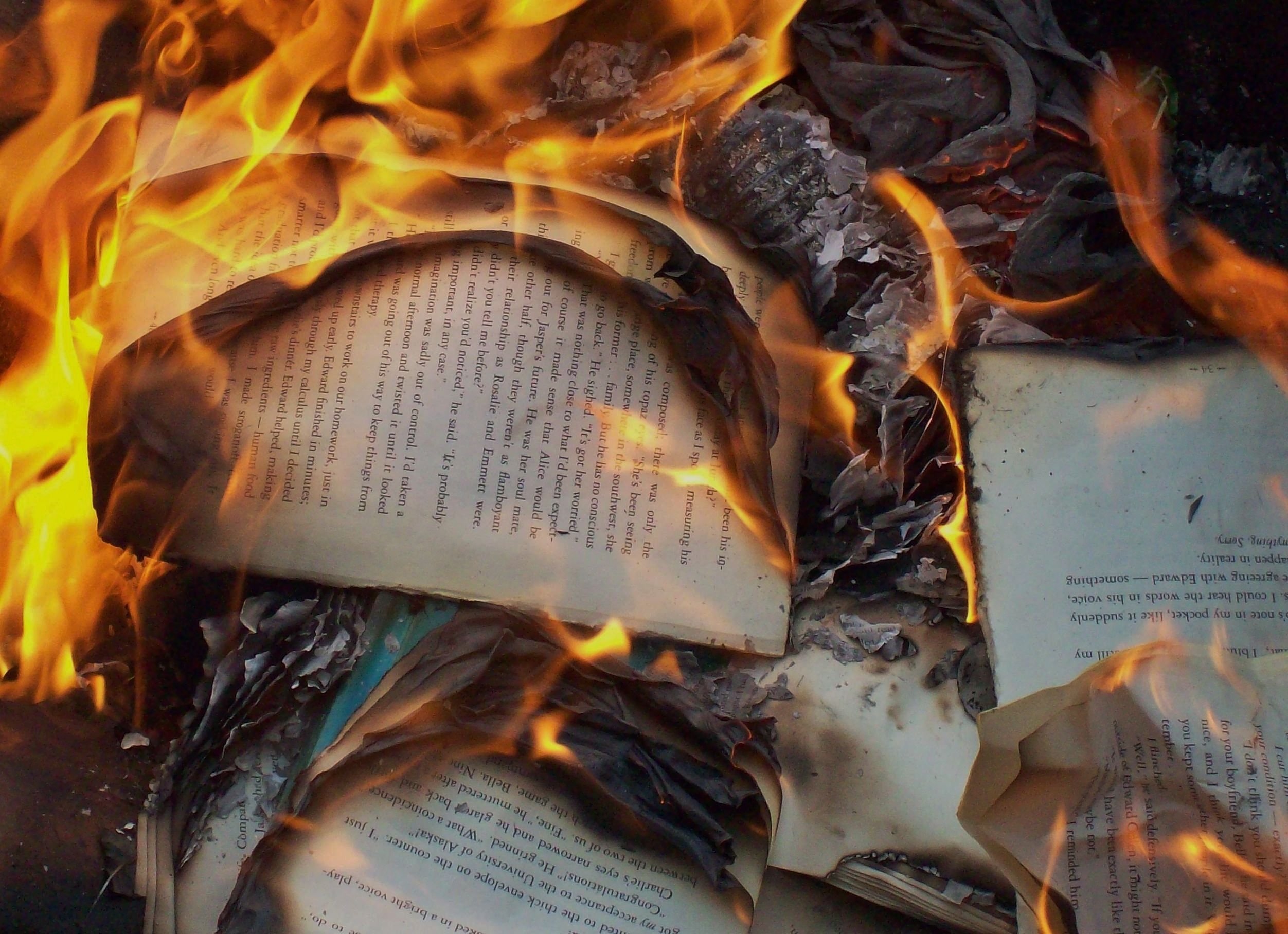 Горящие страницы книги